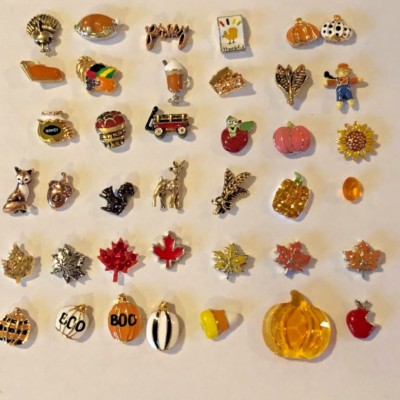 Origami Owl 2019 Autumn Harvest Fall Thanksgiving buy 4 get free Charm