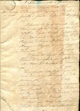 DOC40 - Documento riguardante la contessa Teresa Luserna d'Argogna circa 75 pgg.