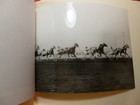 Bild 10 von 11