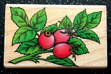 Vintage Rubber Stamp "Rose Hips Branch" by Hero Arts 1 1/4 x 2"
