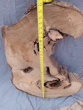 Conan O'Brian apr. 20-42x3" Live Edge CATALPA Slab Epoxy Thick freeform slab
