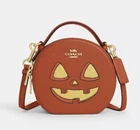 2024 Coach Halloween Pumpkin Print Canteen Crossbody Bag NEW CW468