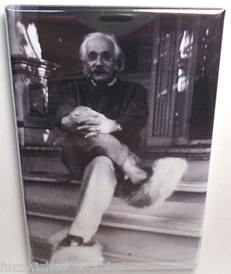 Albert Einstein MAGNET 2''x3'' Refrigerator Locker Vintage Photo FREE SHIPPING 1