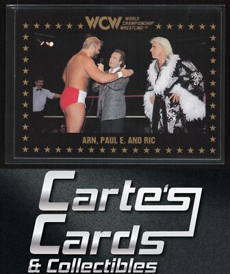 Ric Flair | Arn Anderson 1991 Championship Marketing WCW #48 Arn, Paul E. & Ric
