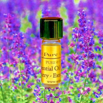 3 ml Catnip Essential Oil - 100% PURE NATURAL - Aromatherapy - GLASS BOTTLE