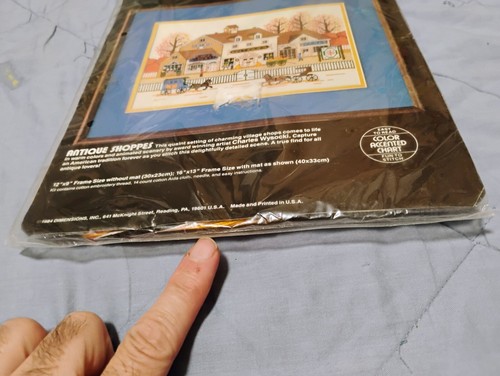 Kit de punto de cruz contado dimensiones: tiendas antiguas | artista Charles Wysocki - Imagen 3 de 3