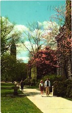 Ithaca New York Campus View at Cornell University Postcard Ithaca New York Campus View at Cornell University Postcard