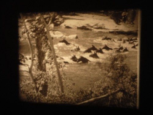 Super 8mm - Northwest Stampede - Joan Leslie - silent - 300ft - Photo 4/15