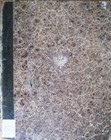 Bild 3 von 11