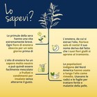 Foto 6 di 10