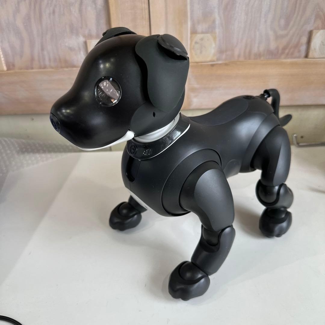 SONY ソニー アイボ AIBO ERS-1000 aibo アイボ ソニー ERS-1000 電動ロボット Sony aibo Companion Robot