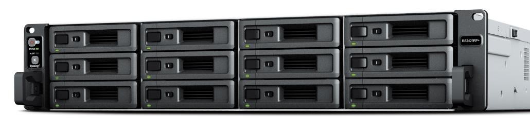 RS2423+ - Immagine 2