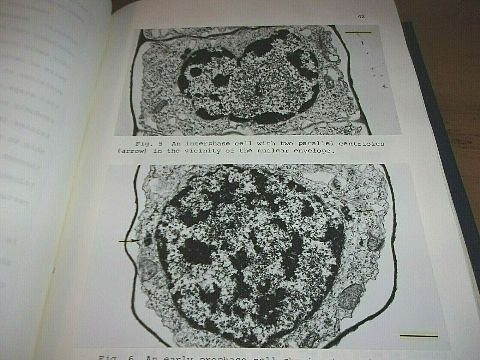 Picture 9 of 11