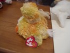 Bild 4 von 8