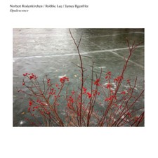 Image of Norbert Rodenkirchen/Robbie Lee/James Ilgenfritz : Opalescence CD (2018)