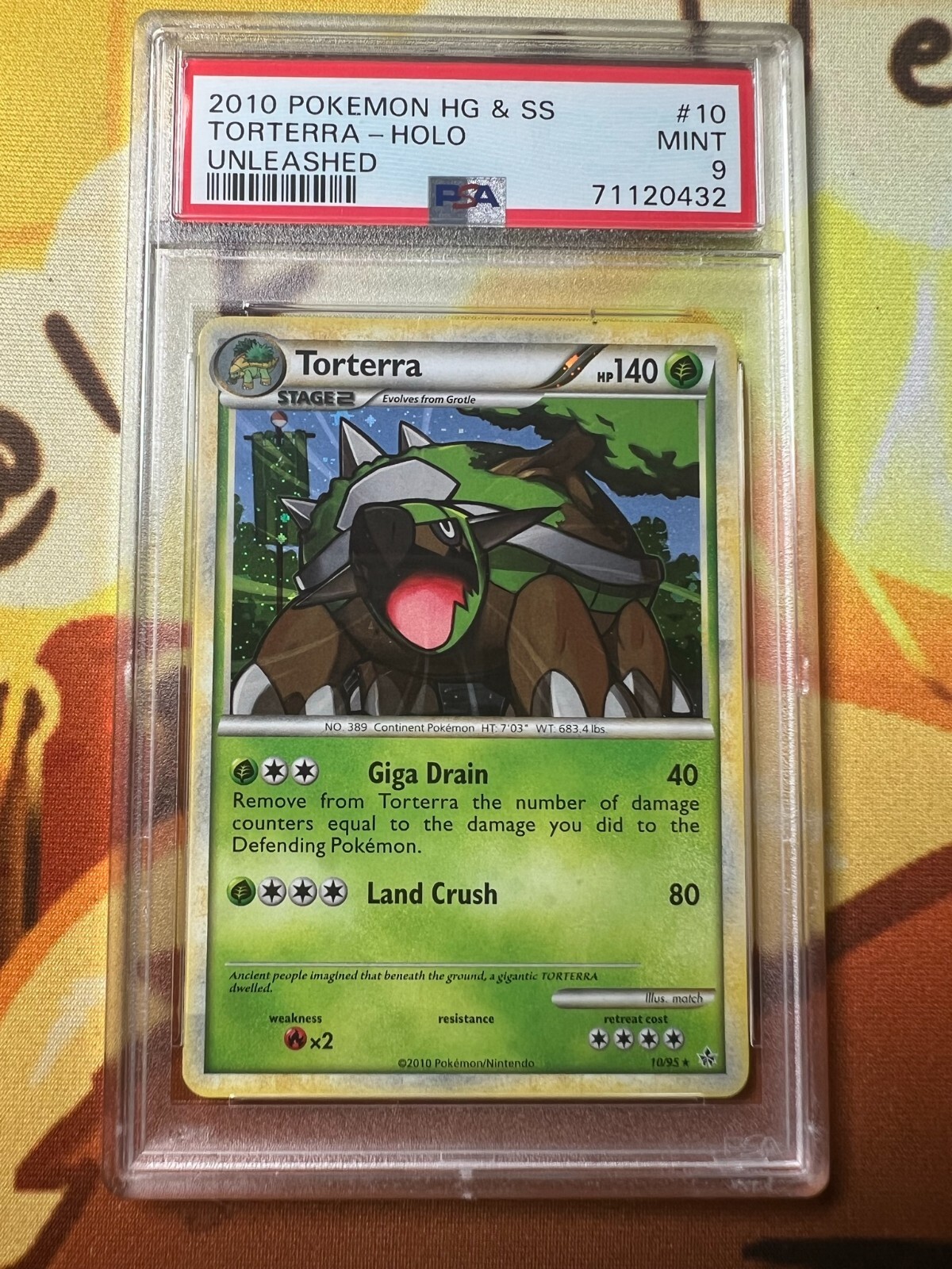 Pokemon TCG HGSS unleashed 2010 torterra holo	#10	PSA	9