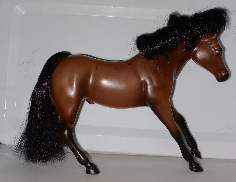 Grand Champions GC Horses Marchon Empire Hunter's Run Bay Thoroughbred