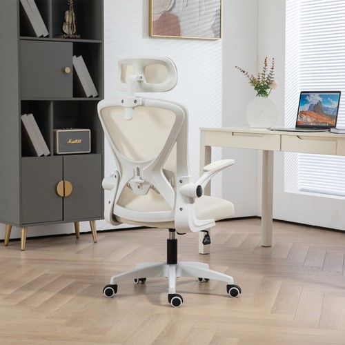 Executive Office Chair with Mesh Backrest Flip-Up Armrests Swivel Computer Chair - Picture 24 of 72