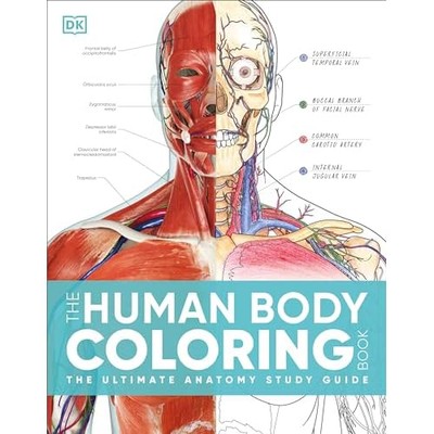 Human Body Coloring Book : the Ultimate Anatomy Study G -  NEW Dk 2024