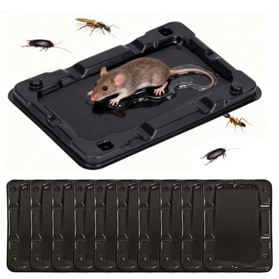 2/4/6/8/10 Sticky Mouse and Insect Traps Super Strong Glue Indoor Pet Safe Black