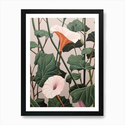 Flower Illustration Morning Glory 7 Framed Wall Art Poster Canvas Print Picture