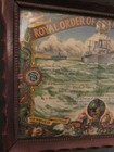 Vintage Royal Order of Atlantic Voyagers Neptune Certificate Framed Dept Of Navy — photo 4