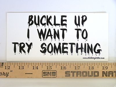 * Magnet * Buckle Up I Want To Try Something Magnetic Bumper Sticker | eBay