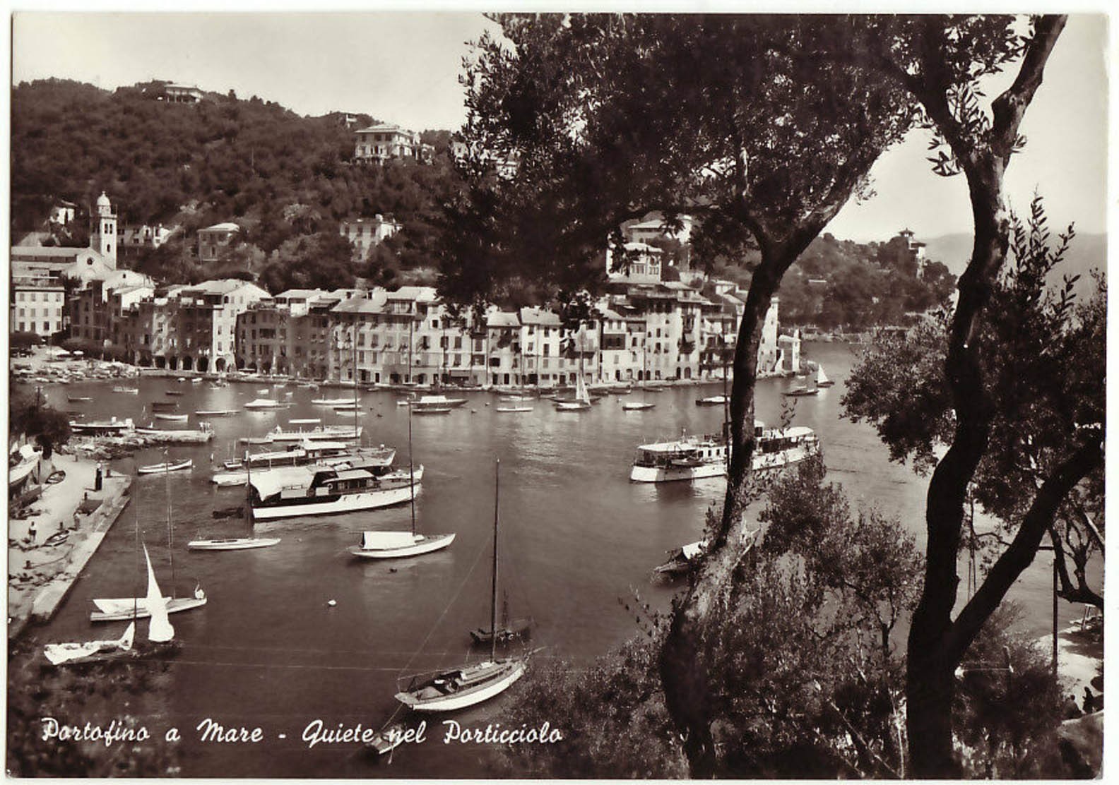 PORTOFINO A MARE - GENOVA -QUIETE NEL PORTICCIOLO-25174