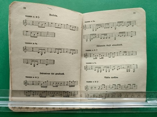 REGGIMENTO CAVALLEGGERI SALUZZO-REGOLAMENTO DI SERVIZIO -SPARTITI MUSICA - Foto 13 di 20