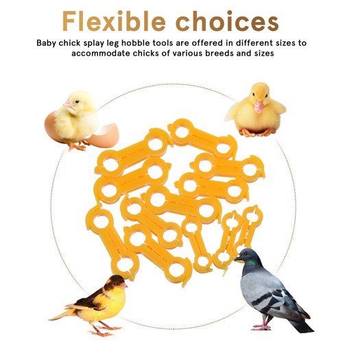 12 Pcs Bird Corrector Hobble Brace Chick Leg Alignment Strap Baby - Picture 11 of 11
