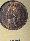 US Indian Head Pennies Collection 35 Coins - Good to Uncirculated - NO RESERVE!