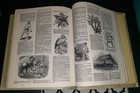 Heirloom Master Reference White Edition Holy Bible & Blue World's Bible Handbook — photo 7