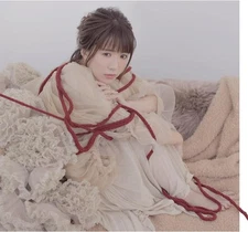 CD Wasurerarenai Hito [CD] Japan Maiko Fujita Music 1 CD VICL-65579 Album