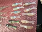 16 Pc Assorted Size and Colors Segment Jointed Softplastic Lures — photo 6