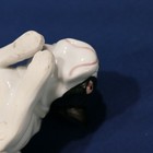Picture 9 of 9