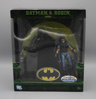 DC Batman & Robin Figures 2 Pack Toys R Us Exclusive New 2007 Mattel