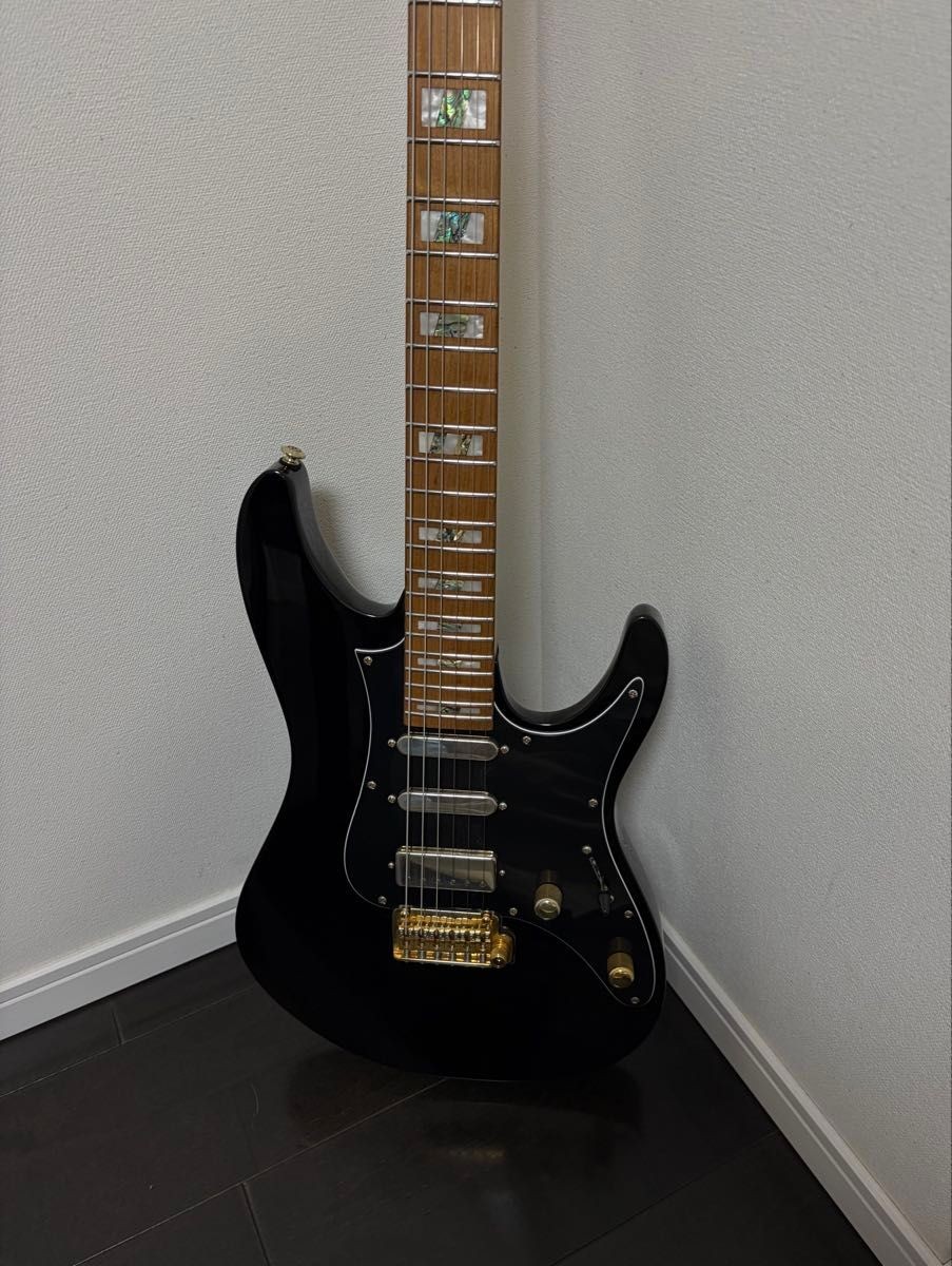 Ibanez THBB10 Tim Henson Polyphia Electric Guitar w/ Original SC