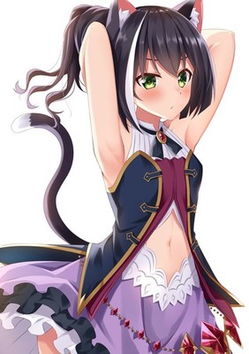 Anime girls art 2d portrait display princess connect Custom Gaming 11x17 Poster