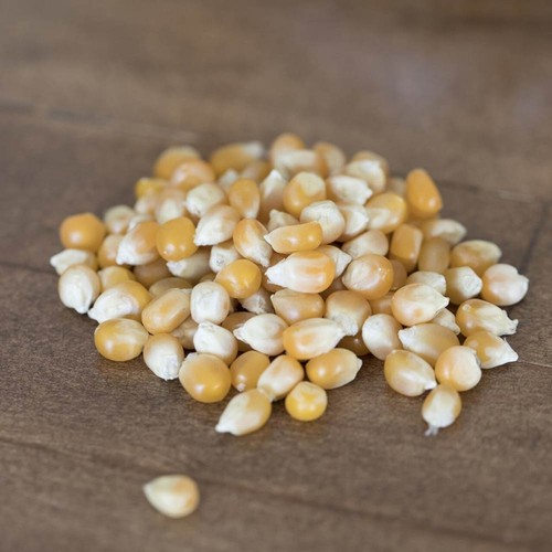 Amish Country Popcorn - Extra Large Caramel Type Popcorn - 6 lbs - Picture 2 of 2