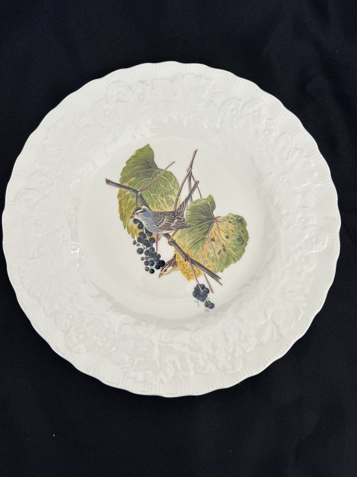Vintage ALFRED MEAKIN White Crowned Sparrow DINNER Plate BIRDS OF AMERICA #114