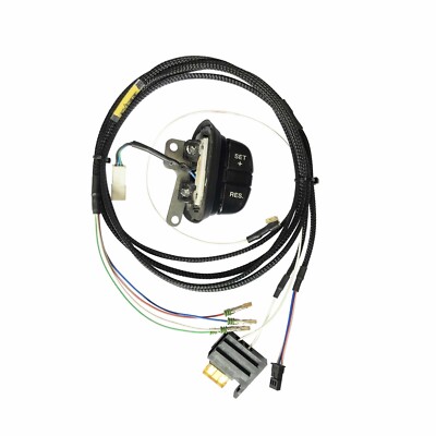 Defender TD5 Cruise Control Kit BRAND NEW Switch included - RHD - Empire Tuning