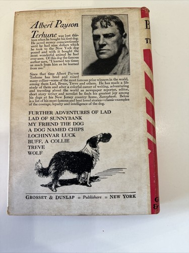 1920 BRUCE (A COLLIE) A NOVEL ALBERT PAYSON TERHUNE 1ST EDITION With Dust Jacket - Imagen 2 de 13