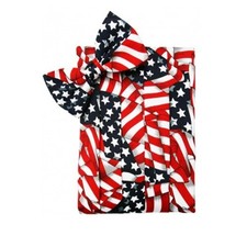 USA Flags Red White and Blue Bow Tie and Cummerbund Set