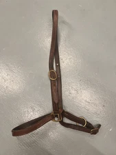 Leather Grooming Halter