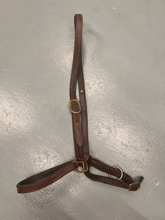 Leather Grooming Halter for Horses
