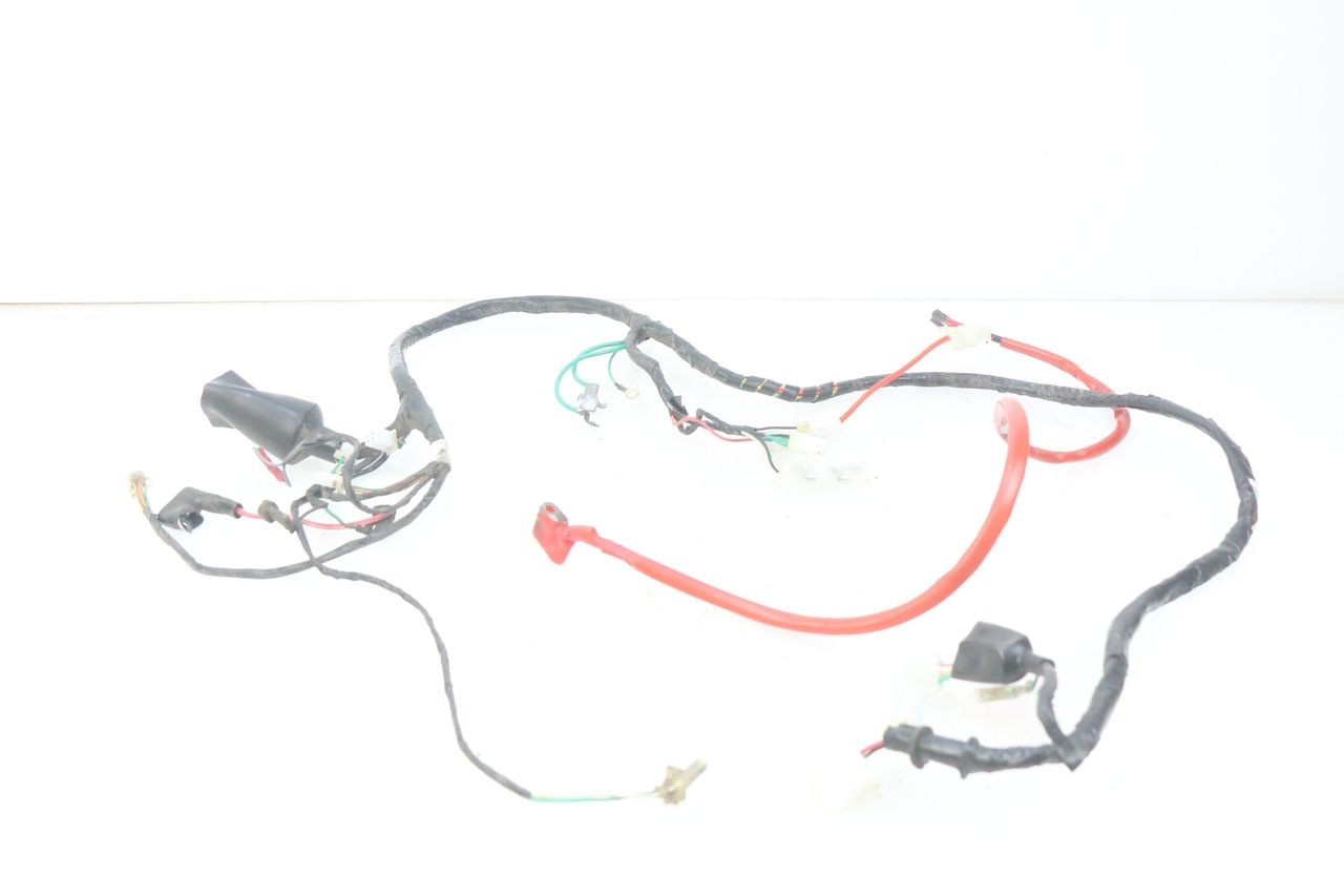 WIRING HARNESS - PEUGEOT TWEET 4T 50 (2010 - 2014)