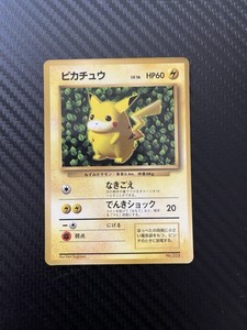 25+ Ivy Pikachu for sale | Updated Oct 2026