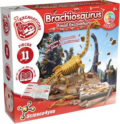 Science4you - Brachiosaurus Fossil Grabungsset für Kinder +6 - ausgraben und zusammenbauen