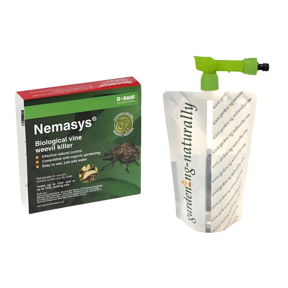 Vine Weevil Nematodes 12sq.m with Bag Applicator