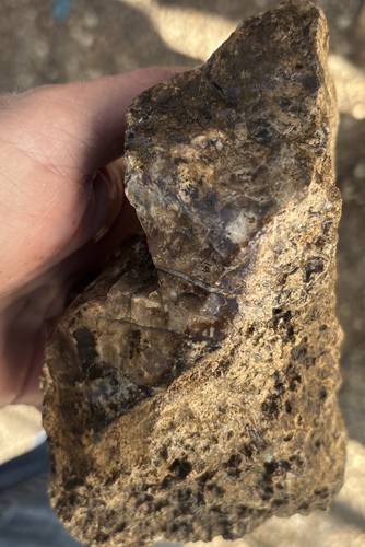 madera petrificada surtida 9 libras 9 onzas - Imagen 11 de 11